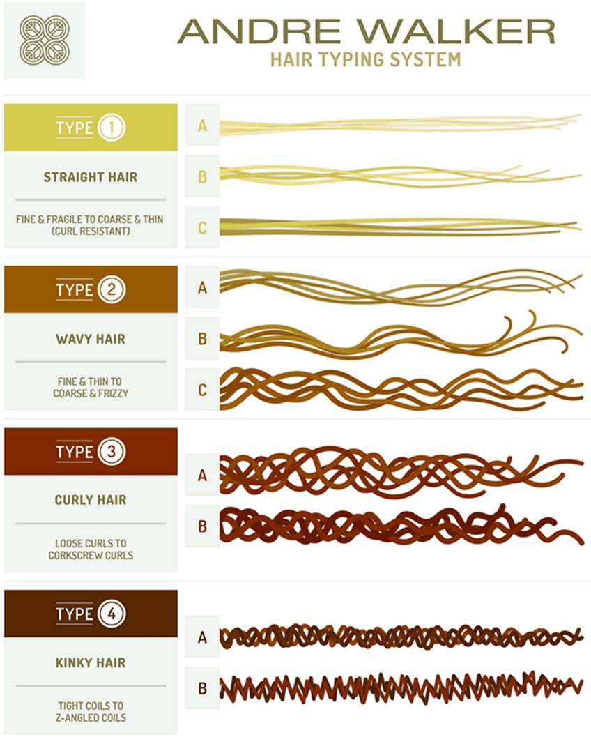Get to know your hair type with the Andre Walker method